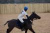 Oxford Polo 2022_12_11 0063